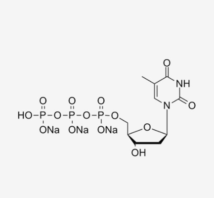 Τριφωσφορικό άλας 100mM λύση 2 DTTP Deoxythymidine &quot; - deoxythymidine-5'-τριφωσφορικό άλας CAS 18423-43-3