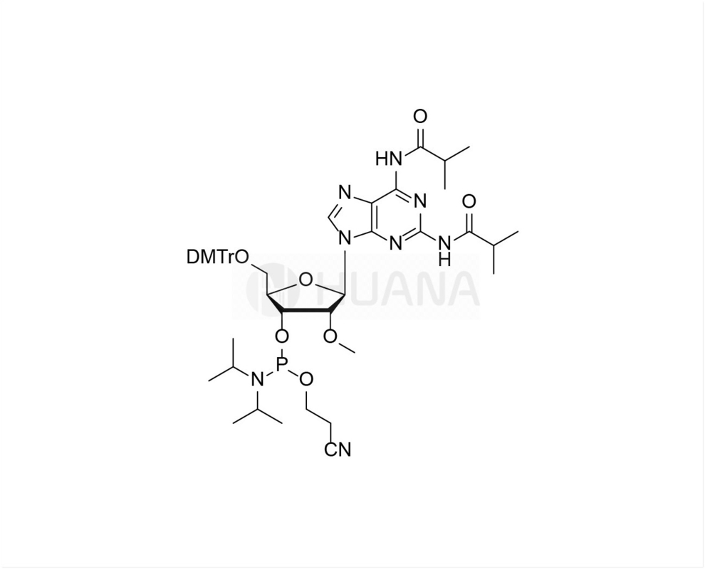 DMTr-2'-O-Me-N2,N6-Diibu-2-αμιδο-rA-3'-CE-Φωσφοραμιδίτης